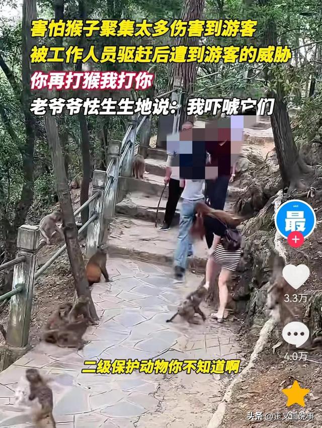 你打猴我打你！小伙威胁景区大爷，身份曝光被骂惨，景区力挺大爷