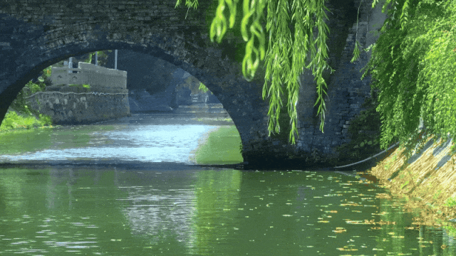 从历史中“长”出未来！扬州这条河正在“逆生长”