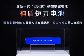 吉利开始发力！电池寿命100万公里，119天大卖6万台，BYD该头疼了图片