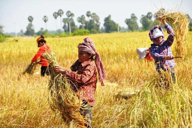 曾经的旅游胜地，如今游客却避之不及，只因黄赌毒俱全