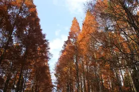 藏，是一个人最顶级的智慧图片