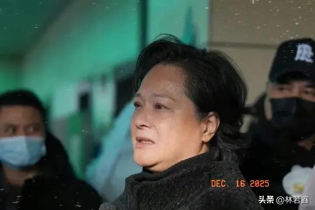 何晴葬礼上黑衣人不是许亚军,他在国外陪小儿子,黑衣人身份曝光 第4张 何晴葬礼上黑衣人不是许亚军,他在国外陪小儿子,黑衣人身份曝光 第4张