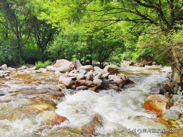 身体和心灵总有一个在路上 | 这个秋天，一起观赏黑河的山川湖海