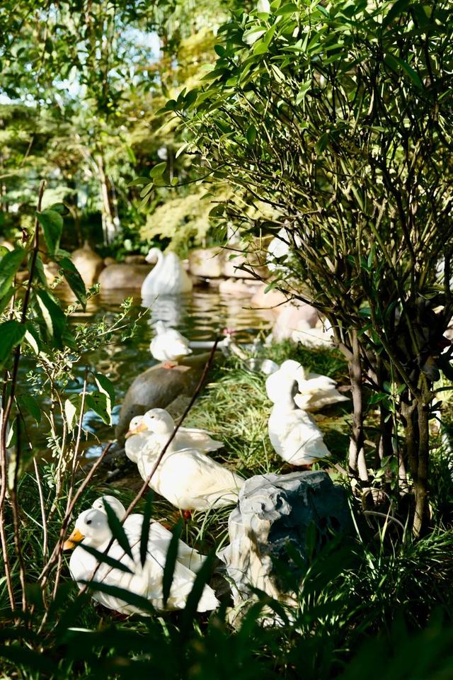 萌宠互动 + 花园美食！贵阳铂尔曼大酒店新场景点燃南明秋季文旅市场