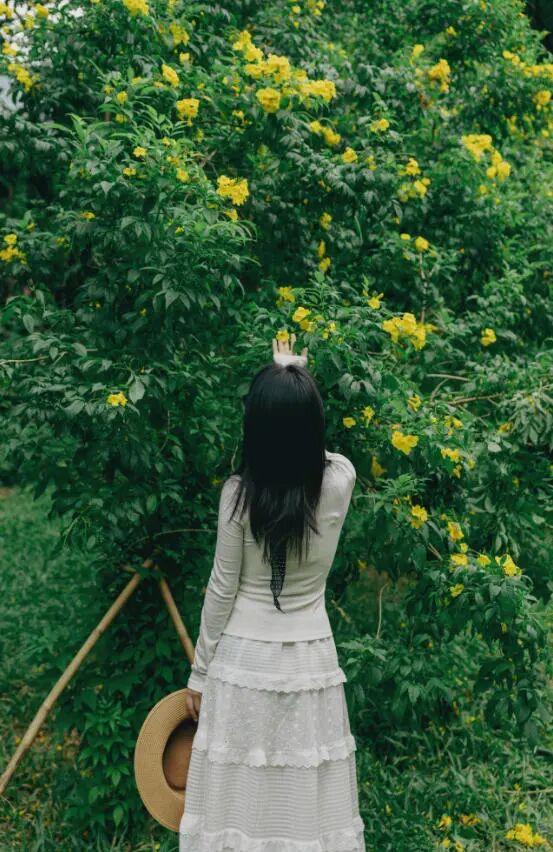 深圳秋色上线！这个公园，藏不住了......