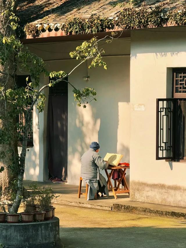 去观音寺，走走？