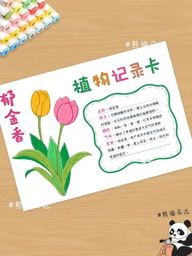 植物记录卡手抄报合集 01 💐