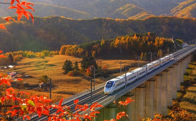 第二十四届吉林·蛟河长白山红叶旅游季启幕