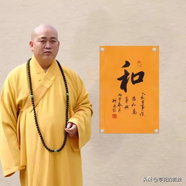 释永信被查第8天，恶心一幕出现，王诗龄受牵连，评论区不堪入目