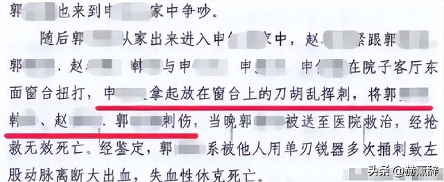 狗主人被反杀案开庭	，9人闯门打砸，妻子后悔冲动，更多细节披露