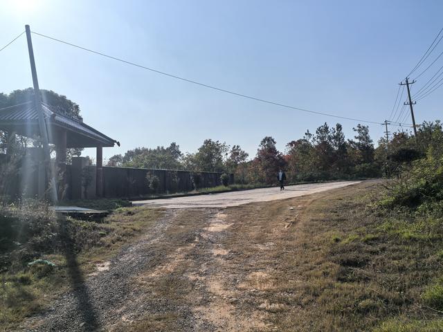 南京龙尚湖，大连山，佘村一日郊野徒步