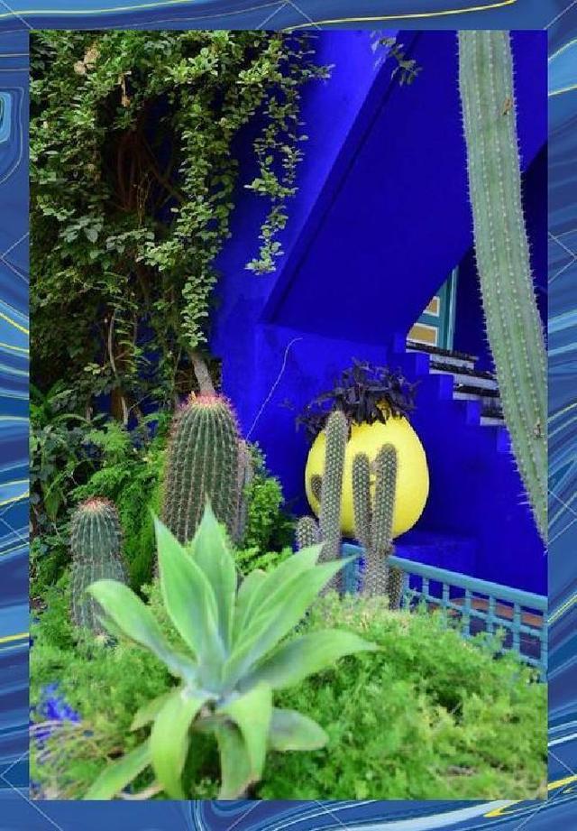 用废旧牛仔布造自然奇迹，这片蓝色花园唤醒孩子对真实世界的感知