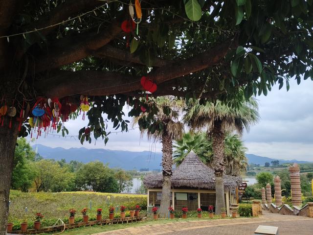 南行漫记：东风韵一个最不像景区的景区