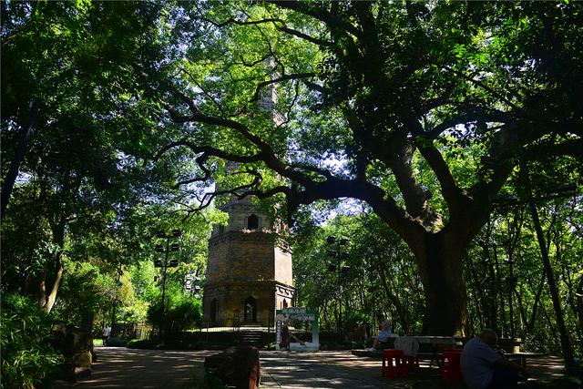 【老丁游记】20251002-1012 国庆假期南游记08