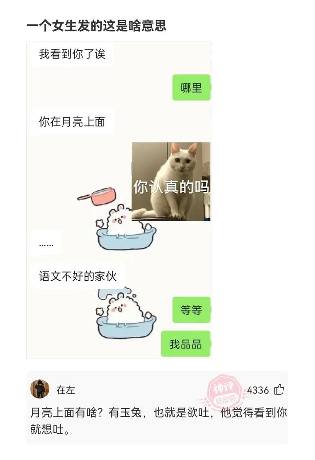 神回复：姐姐的腿不是腿，是塞纳河畔的春水。