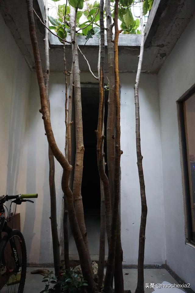 佛山真好逛——大墩村阿志茶空间
