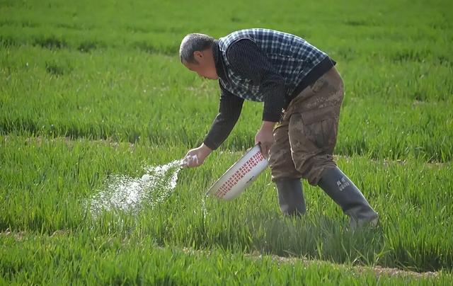 央视曝光“毒蔬菜”！0.08克便可致器官衰竭，已流窜到全国多地
