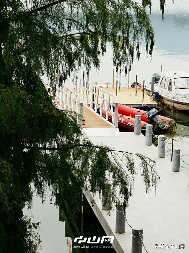 太出片啦！中山焦糖色「落羽杉」上线