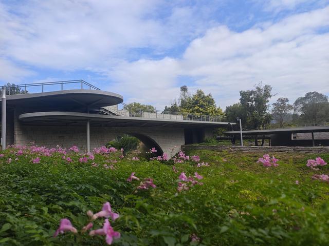 环西丽湖绿道骑行慢行随拍-动个好奇心