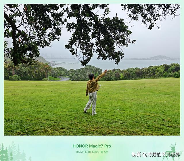 奥克兰工党纪念碑游记