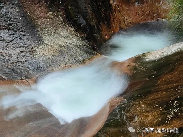 温州这个以畲族始祖命名的4A级景区，秘藏着一座“生物王国”！