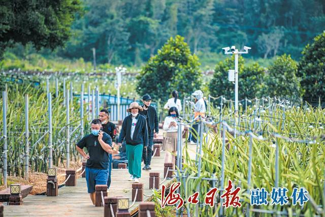 出片率100%!解锁江东新区宝藏打卡点~