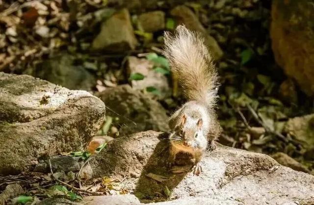 秋华未减，冬景将至，来炎帝影视基地赴一场秋冬的约会吧！
