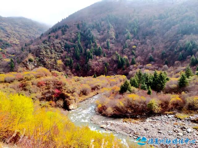 雪落之前留存的秋色