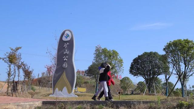 你不知道的九棵松——藏在蕲春的生态秘境