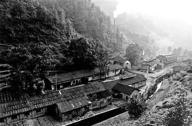 南川深山里的红山厂:当年造炮弹的地方,现在成了鸟雀的天堂