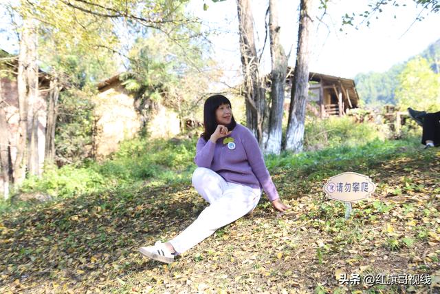 岁月留影各绽花光