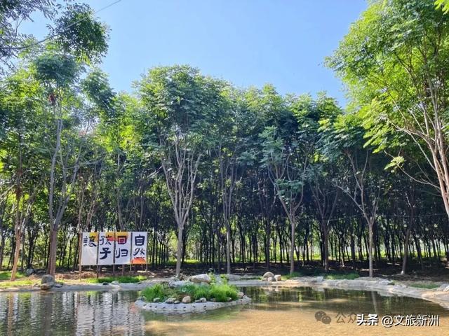 新洲宝藏营地上线！溯溪摸鱼×丛林穿越×星空烧烤，一站式撒野攻略→