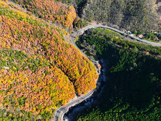 调色盘已打翻，泰山西麓这场初冬色彩之约别错过