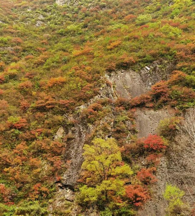 范坝秋光里：诗画田园入梦来