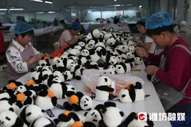 潍坊经济新看点 | 出口额破亿！军埠口生产的毛绒玩具畅销海外图片