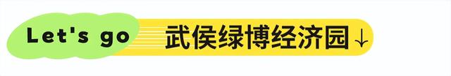 地铁直达！免费！成都20个绝美赏秋地，银杏水杉梧桐红枫限时上演！就在家门口！