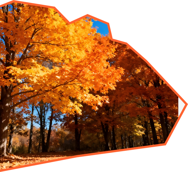 浙西天池关闭？别慌！吴越古道+桃花溪三尖徒步攻略来“救场”～