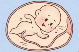 胎宝宝每天都在妈妈的肚子里做什么？也太可爱了图片