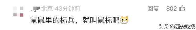 为4只“太空小鼠”取名,网友:从从、容容、游刃、有余……