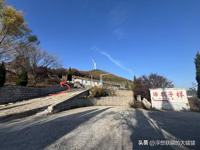 游赏过九鼎山后，我又跑到一户院里“强买”了大爷种在路边的白菜