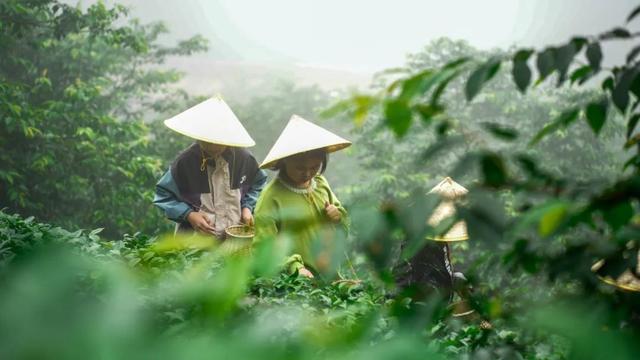 不远、不热还好玩！亲子出游安排上