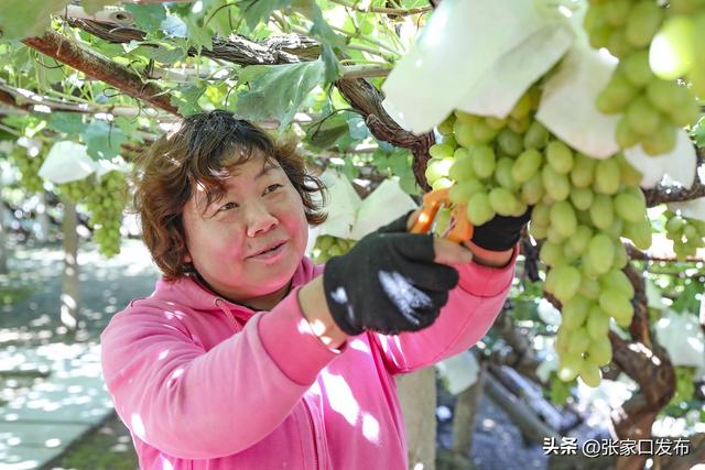 张家口四条线路邀您品塞外烟火里的山河味