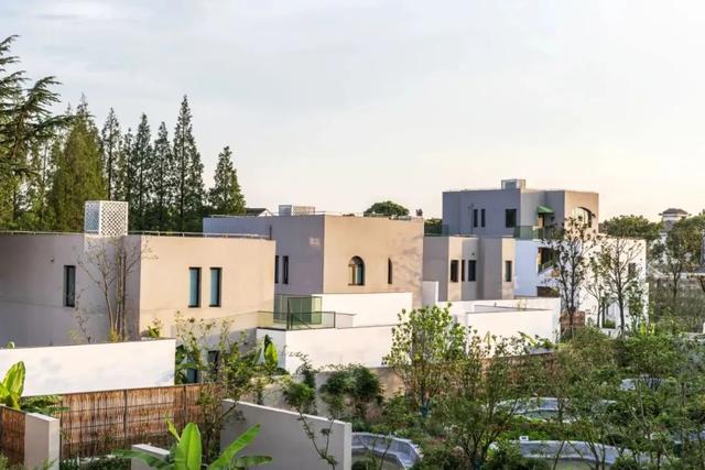 这样的张家港,我“All in”了!