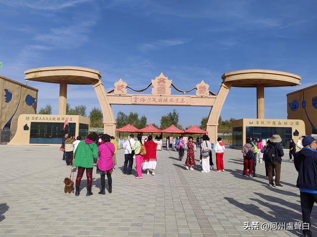 金塔胡杨林