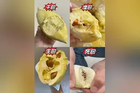 “以为自己毕业了，结果开出个生包”看完网友开的生包榴莲，笑死图片