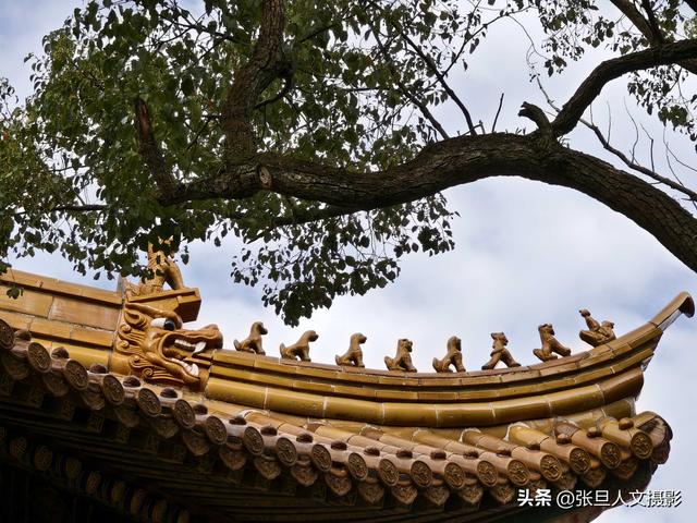 跟着张旦行摄中国 去浙江舟山群岛 感受跨海大桥有多壮观 景色有多美