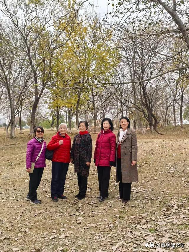 盘龙悠远银杏黄 水中学友情谊长