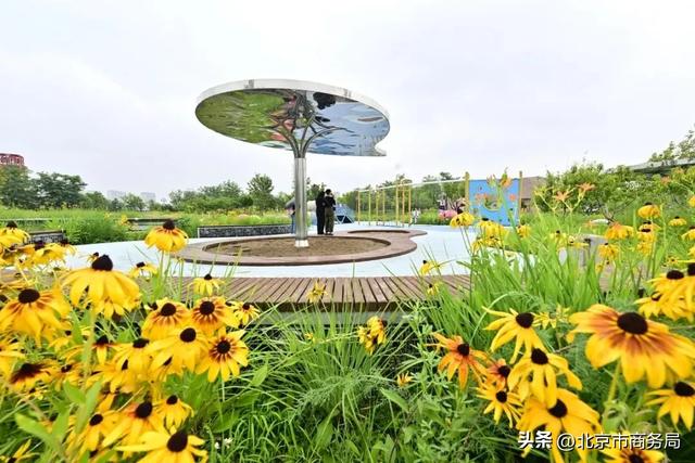 热热热热闹极了!来副中心蹦“水迪”、淘文创……解锁N种清凉玩法~