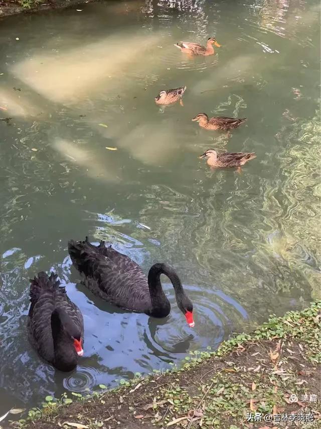乙巳年秋自驾游记