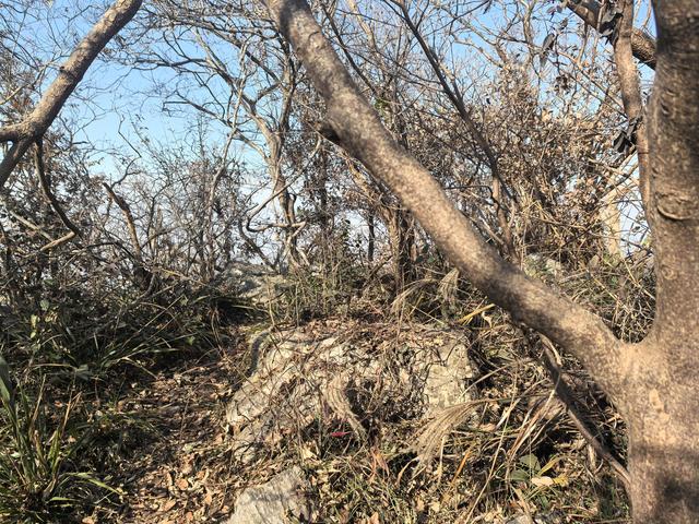 南京第二次到镇江武岐山空青山郊野徒步